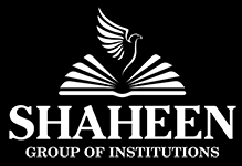 Shaheen Academy